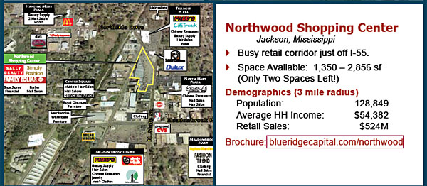 View Northwood Shopping Center Atlanta Brochure